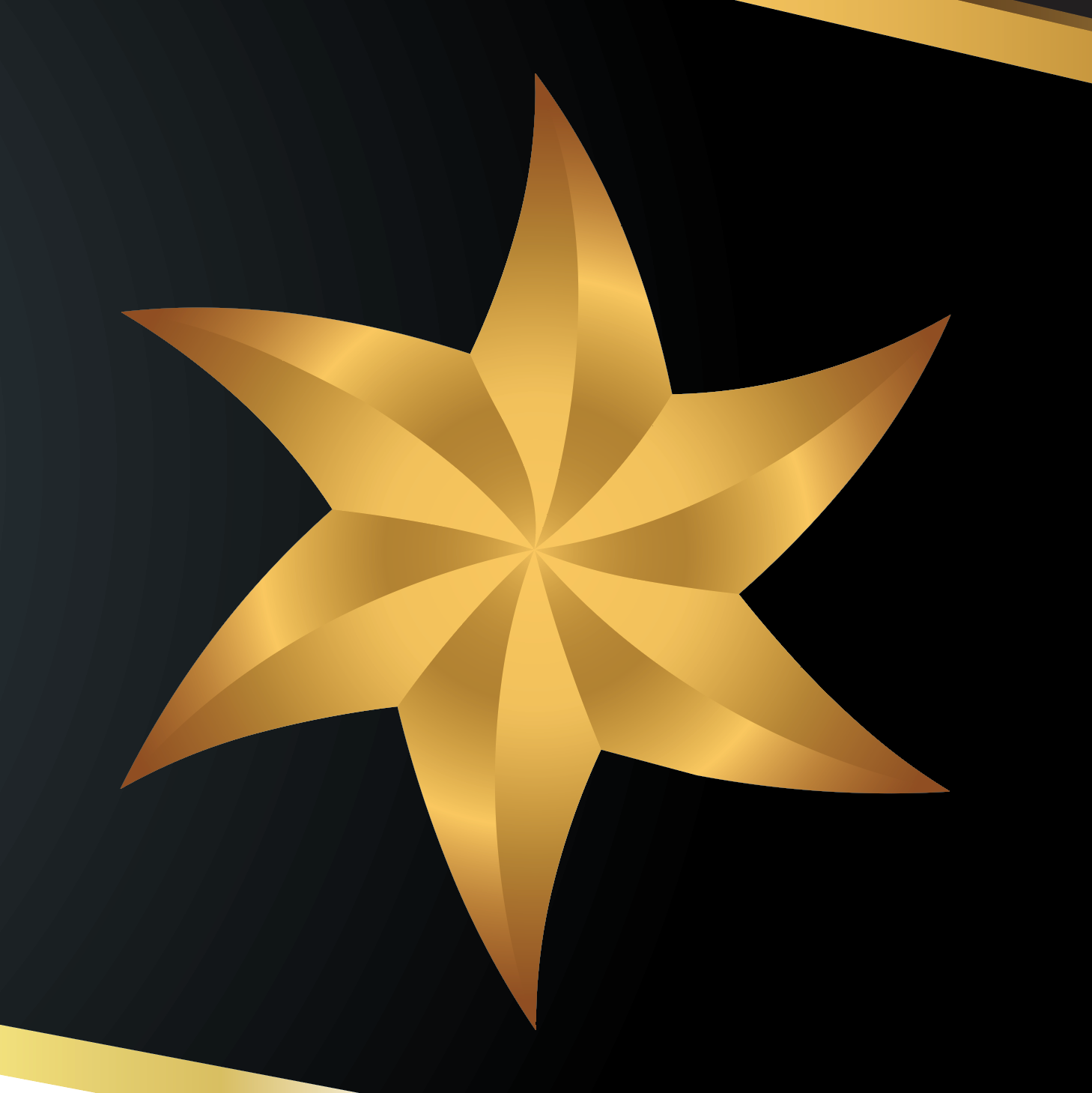 Wilson Family Crest detail gold star design on a black background
