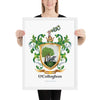 O'Callaghan Family Crest framed artprint