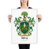 Riley Family Crest framed artprint