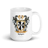 Robyns Family Crest mug